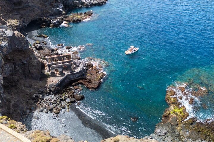 Rorcuales que visitan nuestro Santuario de ballenas - 5