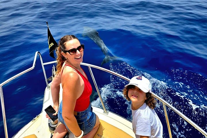 Tour de avistamiento de ballenas y delfines Los Gigantes y Masca en grupos reducidos - 2