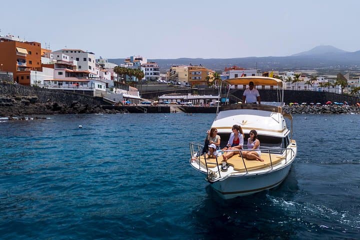 Tour de avistamiento de ballenas y delfines Los Gigantes y Masca en grupos reducidos - 7