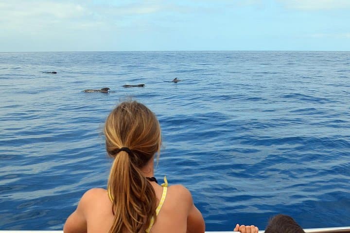 Observación respetuosa de ballenas en un barco de madera y nadar - 4