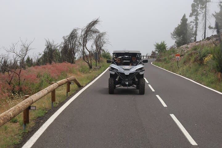 Aventura en Buggy en el Parque Nacional del Teide al atardecer - 3