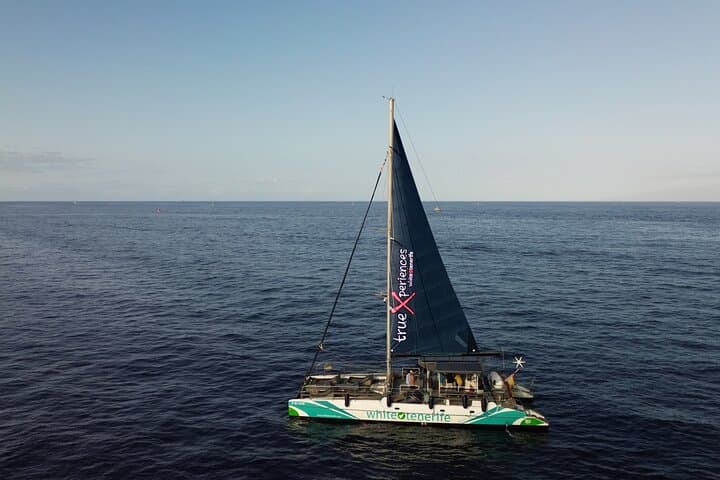 Eco catamarán con paneles solares - 2