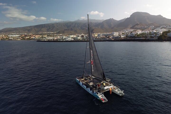 Eco catamarán con paneles solares - 4
