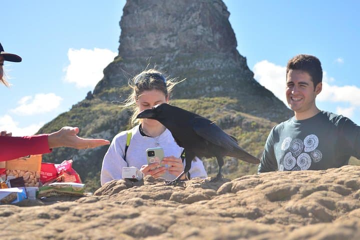 Espectaculares acantilados oceánicos del norte de Tenerife cerca del Roque de Taborno, rodeados de exuberantes paisajes de Anaga. - 5