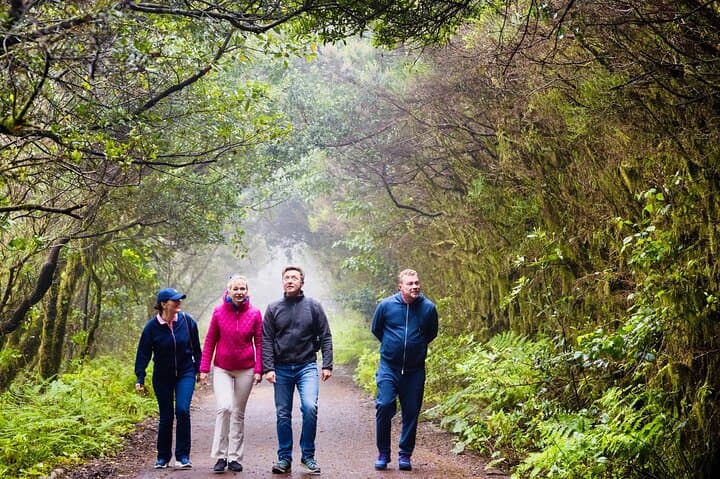 Senderismo sobre Masca a través de bosques relictos de laurel. Traslado incluido. - 2