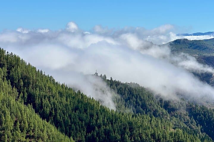 Senderismo sobre Masca a través de bosques relictos de laurel. Traslado incluido. - 4