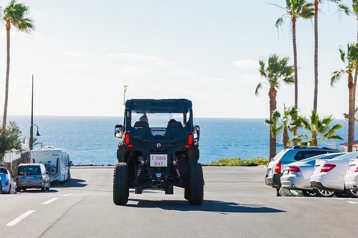 Aventura en Buggy por Tenerife: Costa Sur y Finca de Plátanos - 6
