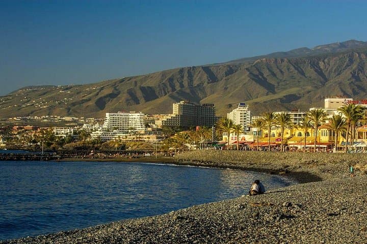 Traslado privado al aeropuerto de Tenerife Sur - 5