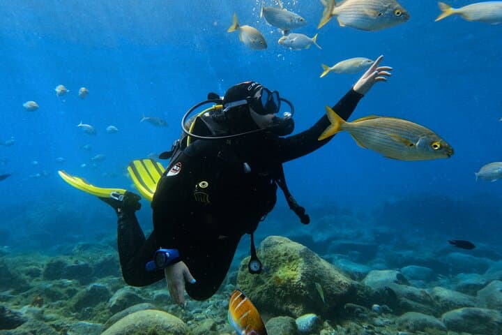 Beginner's Dive at a Spot with Turtle Sightings in Tenerife - 5