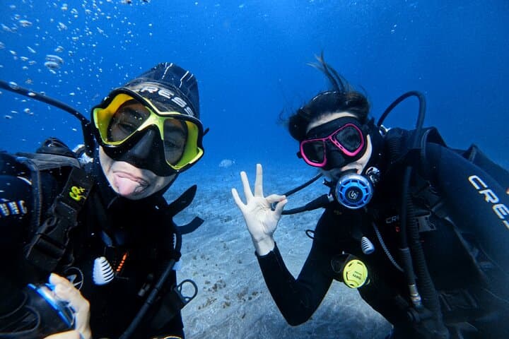 Beginner's Dive at a Spot with Turtle Sightings in Tenerife - 6