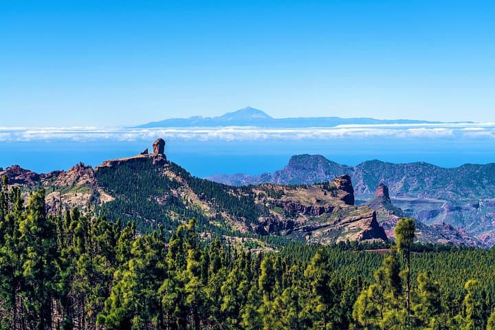 Lo mejor de Tenerife : Excursión panorámica en tierra con recogida en puerto - 3