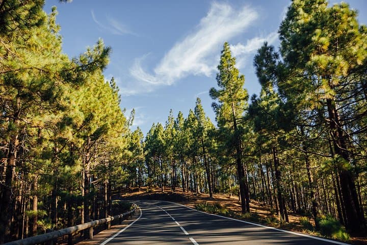 Lo mejor de Tenerife : Excursión panorámica en tierra con recogida en puerto - 5