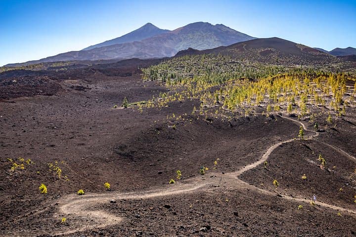 Lo mejor de Tenerife : Excursión panorámica en tierra con recogida en puerto - 8