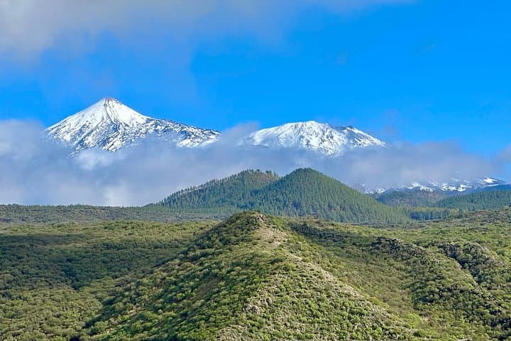 Auténtica Tenerife, Teide y Masca en un Tour Privado. - 3