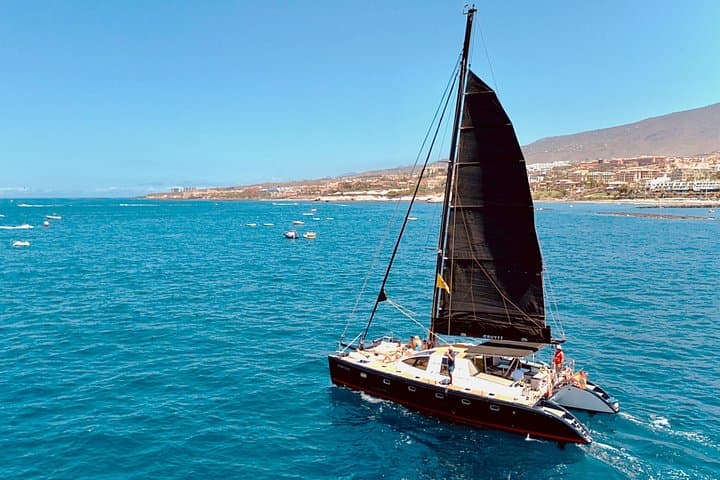 Avistamiento de ballenas en Tenerife. Barco White Tenerife. - 3