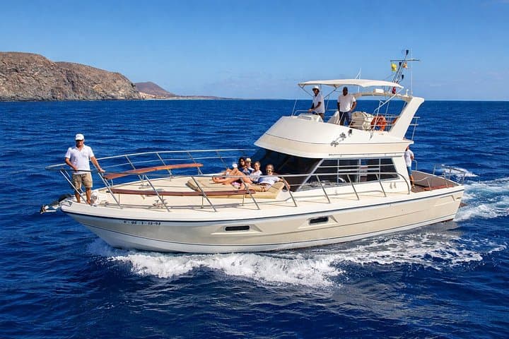 Descubre ballenas en Tenerife: tour en yate con baño y almuerzo - 5