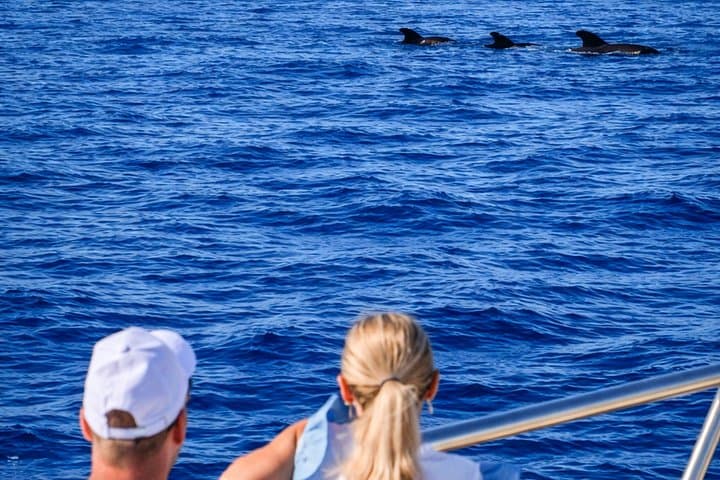 Descubre ballenas en Tenerife: tour en yate con baño y almuerzo - 7