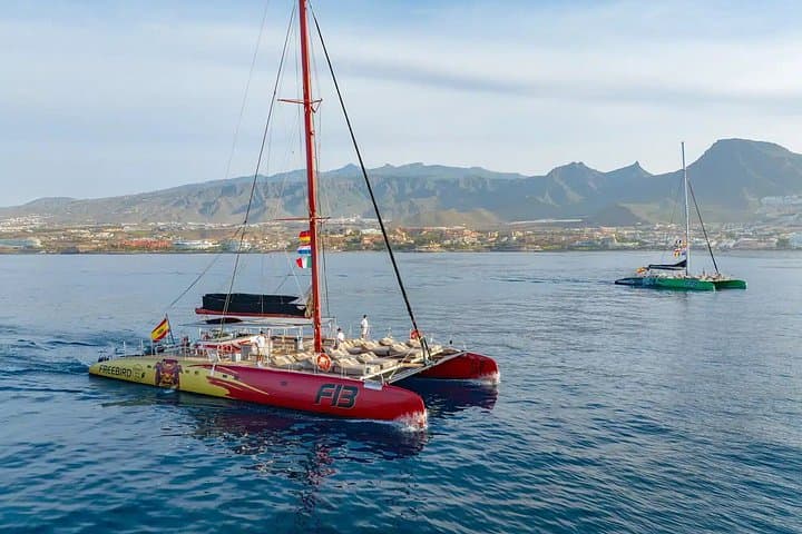 Tenerife Paquete turístico de 2 días con puntos destacados y crucero en catamarán - 6