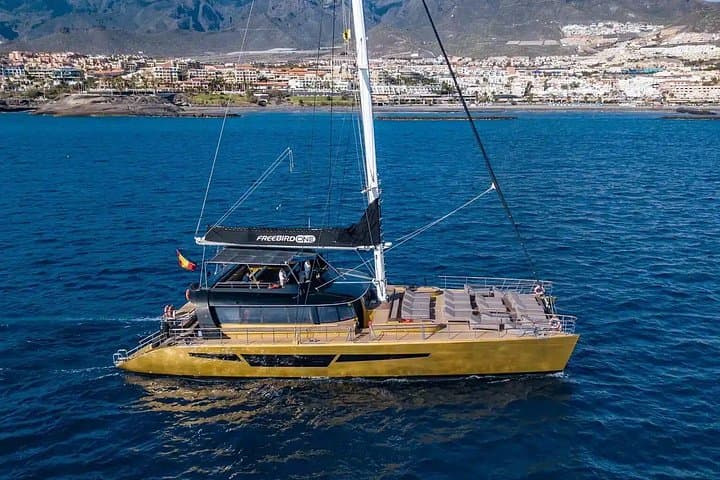 Tenerife Paquete turístico de 2 días con puntos destacados y crucero en catamarán - 7