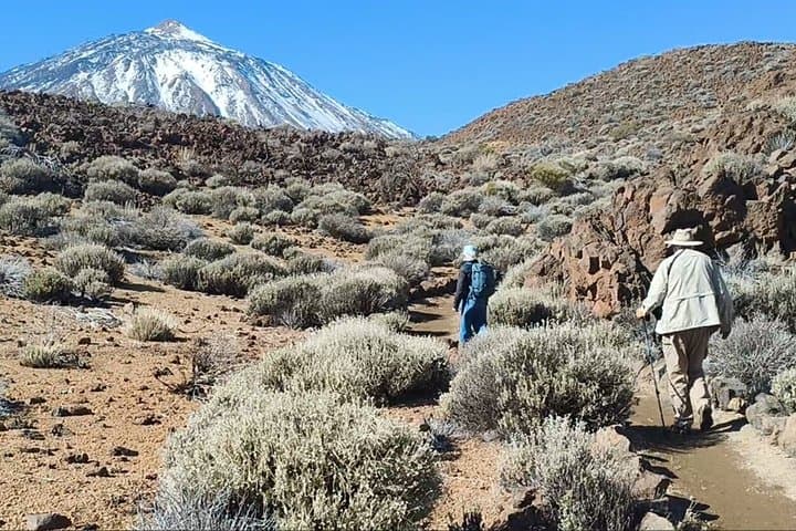 Visita guiada privada al Teide y Norte de Tenerife - 3