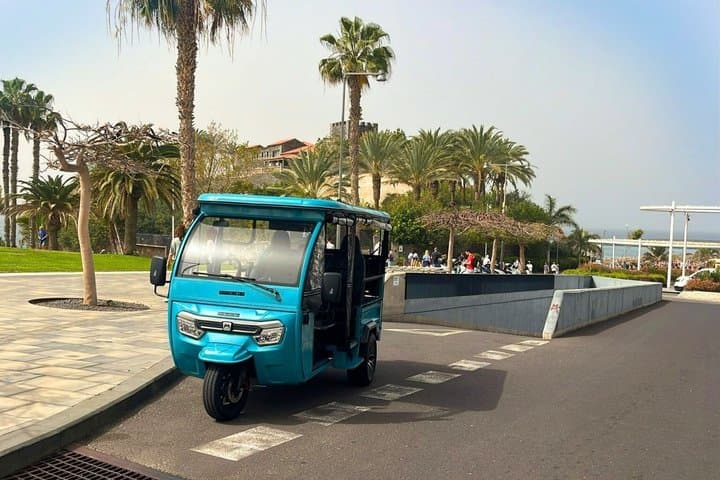 Tuk Tuk Tour en el Sur de Tenerife Costa y Miradores - 8