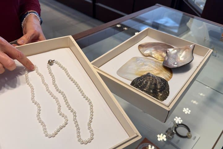 Tenerife: Pearl Discovery Tour - 6