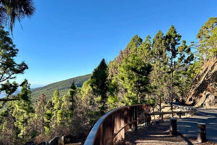 Tour privado al Teide y al bosque de Anaga - 4