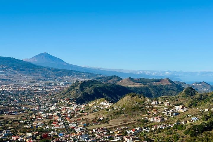Tour privado al Teide y al bosque de Anaga - 5
