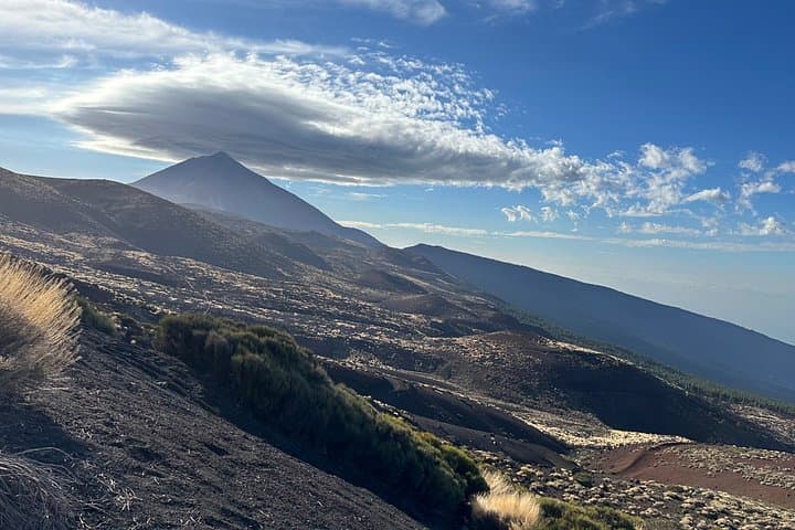 Tour privado al Teide y al bosque de Anaga - 6