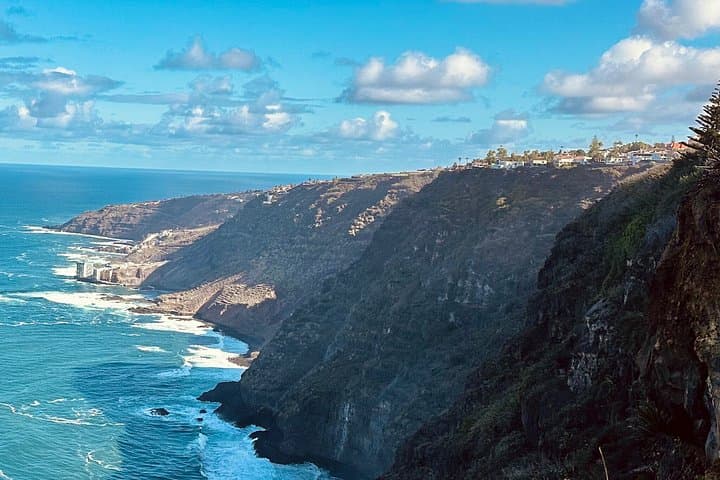 Tour privado al Teide y al bosque de Anaga - 7