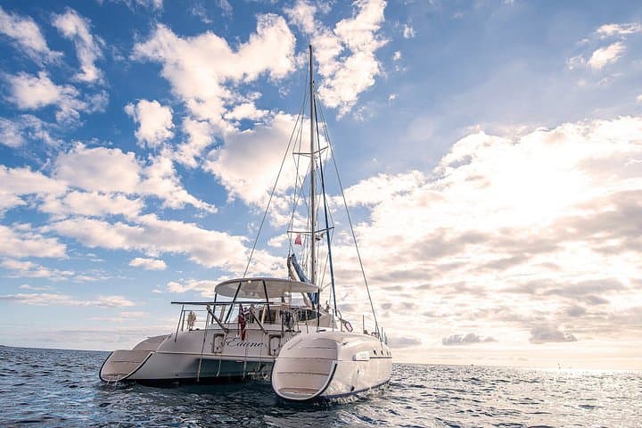 Alquiler de catamarán privado 4 - Horas desde el puerto deportivo de San Miguel - 6