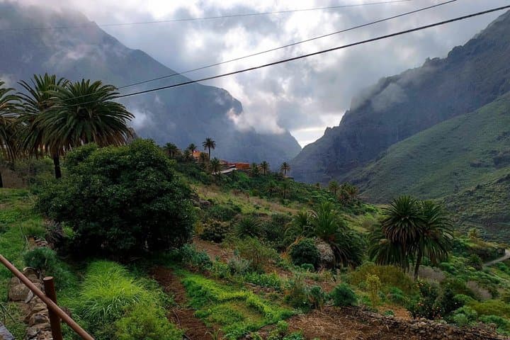 Tour Premium: Teide Masca y Garachico con Puesta de Sol y Cava - 6