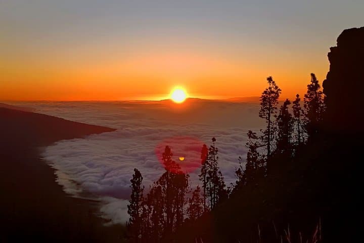 Tour Premium: Teide Masca y Garachico con Puesta de Sol y Cava - 8