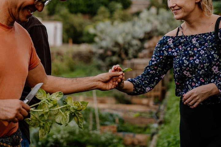 Descubre el oasis escondido de Tenerife: Visita a una granja sostenible - 2