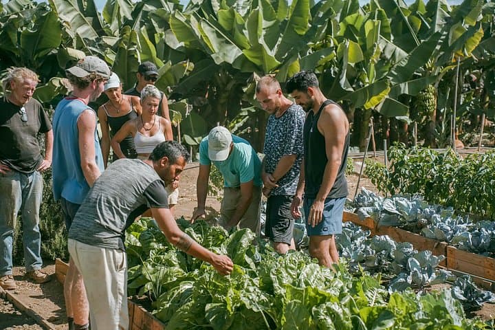 Descubre el oasis escondido de Tenerife: Visita a una granja sostenible - 3