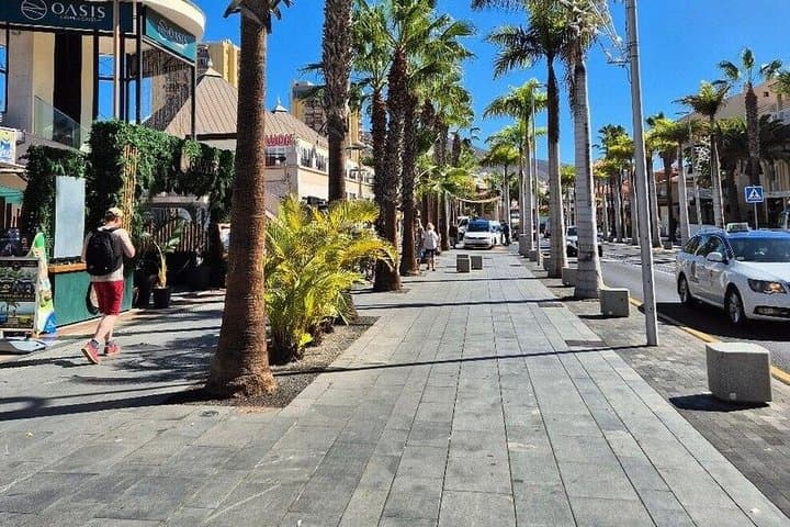 Tour por las playas del sur de Tenerife con guía - 3