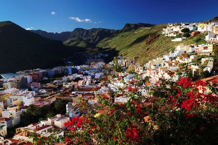 Tour Privado por la costa : La Gomera Discovery - 5