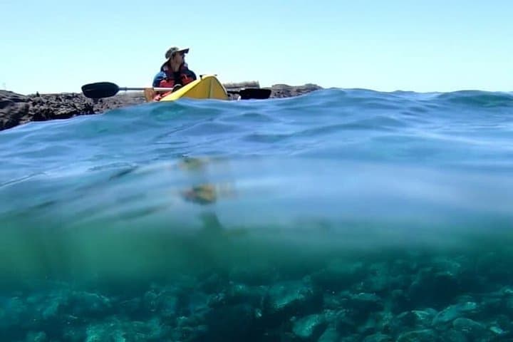 Kayak Privado & Snorkel en Alcalá : kayaks individuales, máx. 6 personas - 4