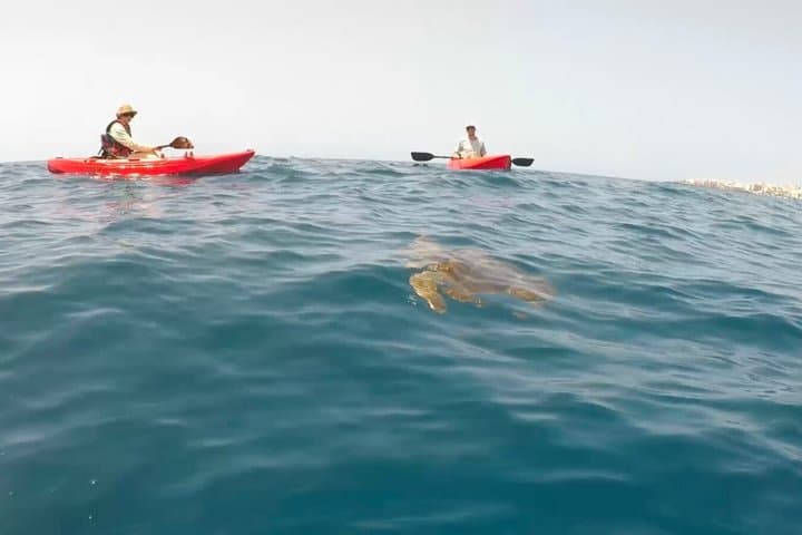 Kayak & Snorkel en Alcalá - kayaks individuales, máx. 6 personas - 3