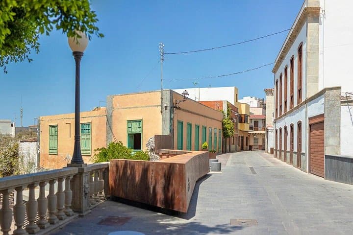 Tour Histórico a pie y Eco Banana Farm en Guía de Isora, Tenerife - 7