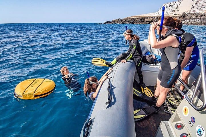 Visita guiada de snorkeling en Tenerife con equipo - 3