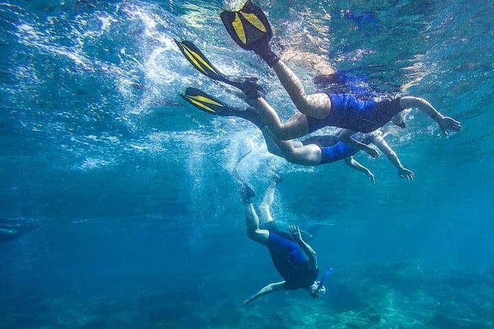 Visita guiada de snorkeling en Tenerife con equipo - 4
