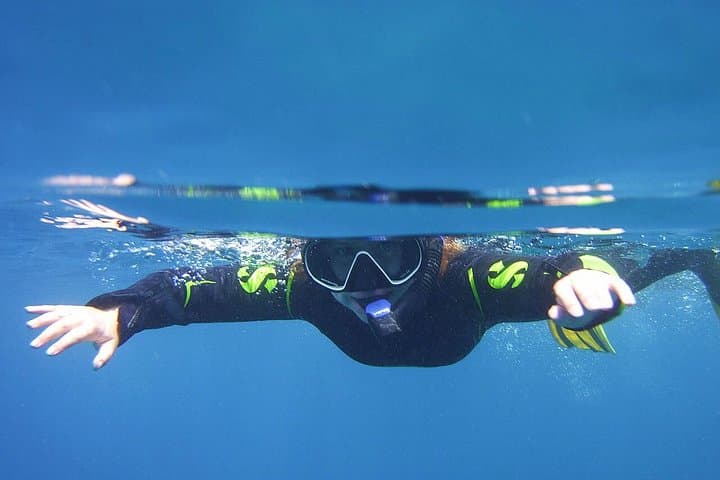Visita guiada de snorkeling en Tenerife con equipo - 5