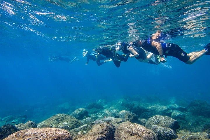 Visita guiada de snorkeling en Tenerife con equipo - 6
