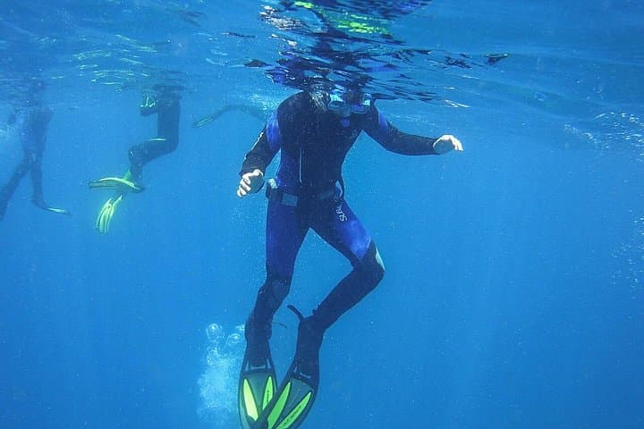 Visita guiada de snorkeling en Tenerife con equipo - 8