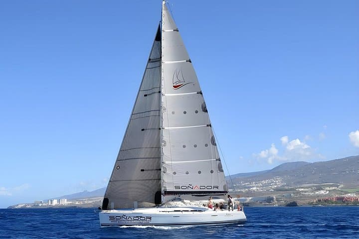 Excursión en el velero 'Soñador' en grupo reducido con natación - 4