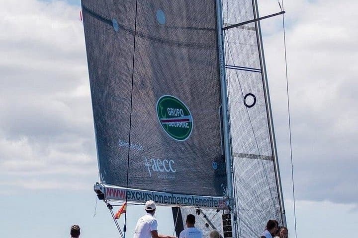 Excursión en el velero 'Soñador' en grupo reducido con natación - 8