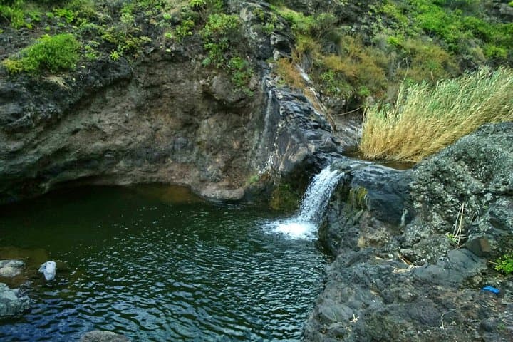 https://media-cdn.tripadvisor.com/media/attractions-splice-spp-720x480/15/68/81/37.jpg - 3