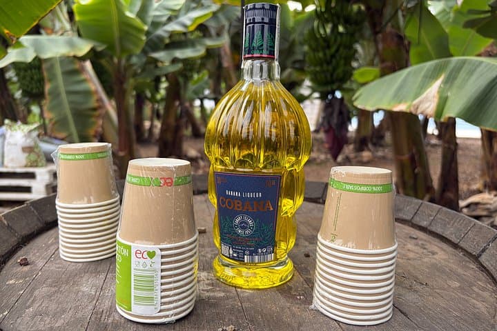 Tour Histórico a pie y Eco Banana Farm en Guía de Isora, Tenerife - 4