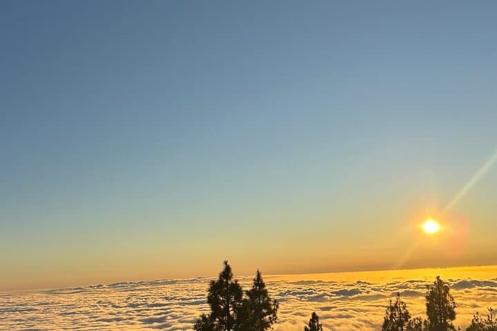 Tour al Parque Nacional del Teide en minibús - 3